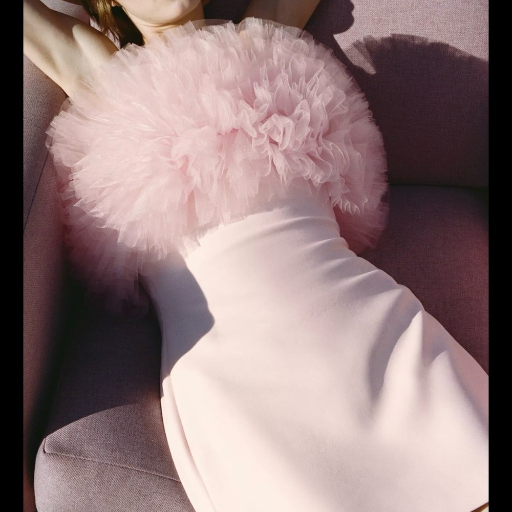Zara Pink Tulle Dress